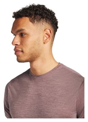 T-shirt Manches Courtes Icebreaker Merino 125 Cool-Lite Sphere 3 Marron