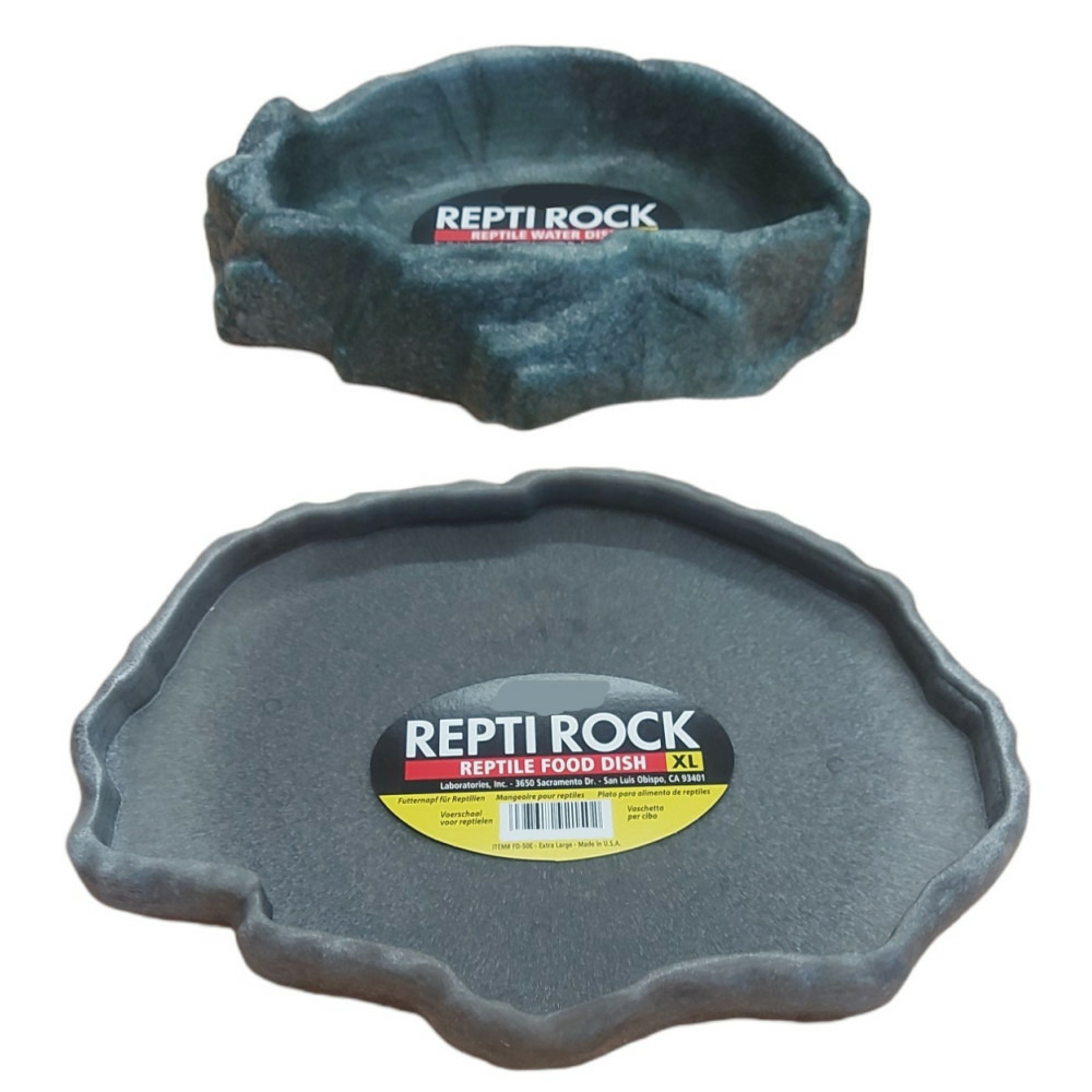 Lot d'abreuvoir et mangeoire taille xl pour reptiles.