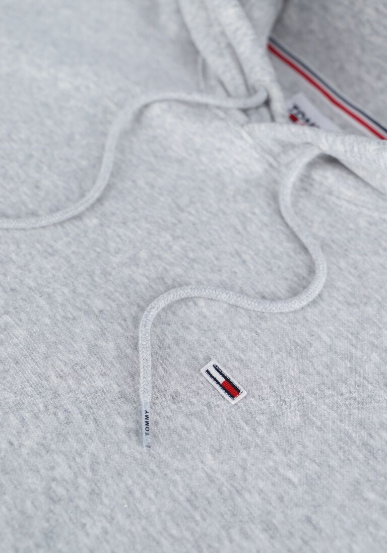 TOMMY JEANS lichtgrijze tommy jeans sweater tjm regular fleece hoodie
