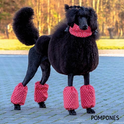Leggings protetoras para pernas e pescoço com estampa de bolinhas - Tamanho G