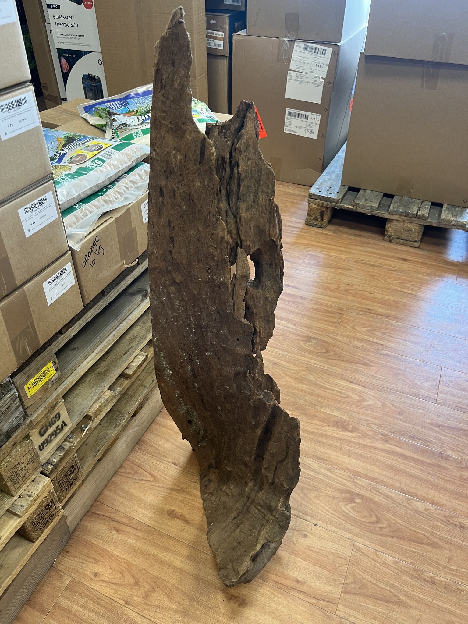 AQXL Selected Mangrovehout XL NR03 90-120cm