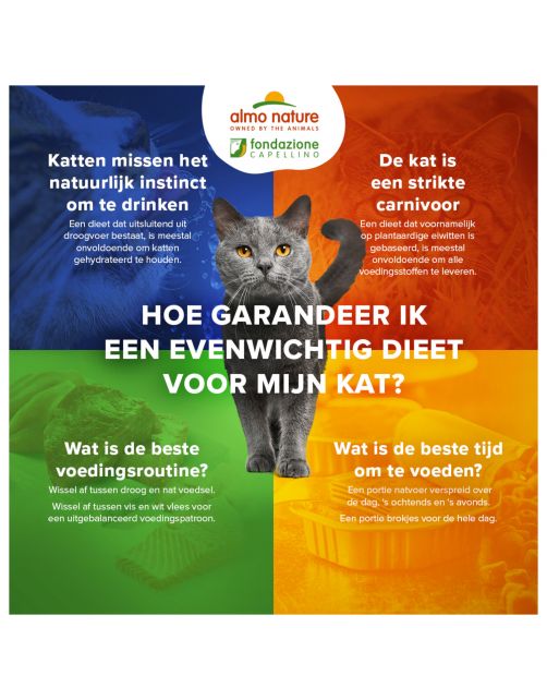 Almo Nature Hfc Cat Maaltijdzakjes Plus 55 g - Kattenvoer