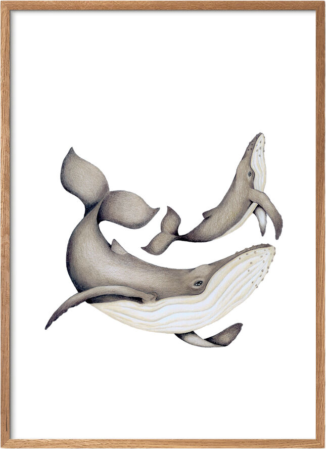 Poster & Frame Ephie Studio - Hvalerne Flerfarvet