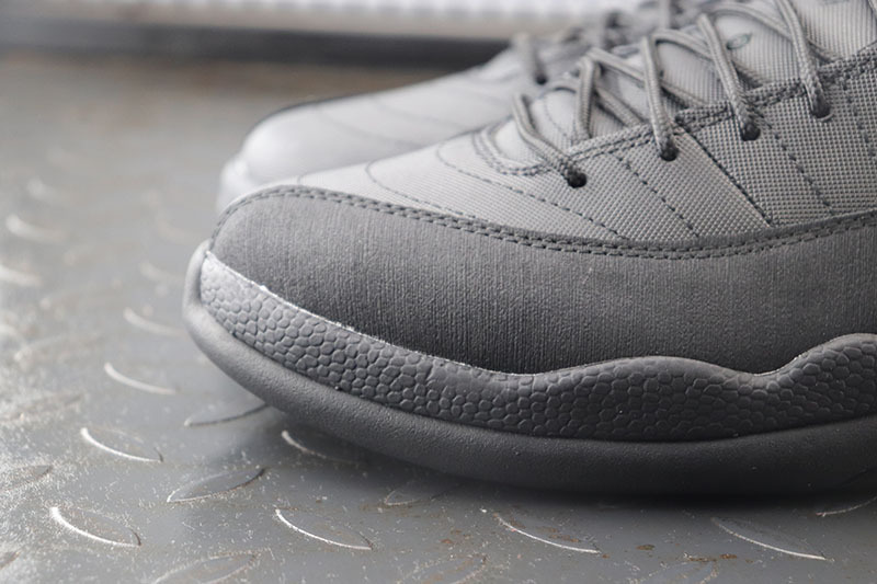Air Jordan 12 Winterized