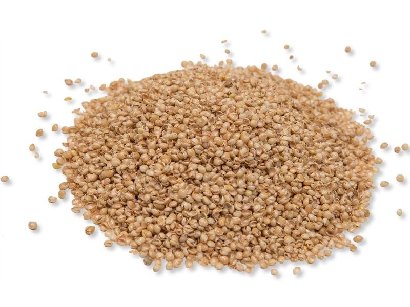 Bio Hirsespelz