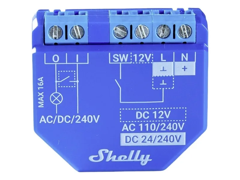 Shelly Plus 1