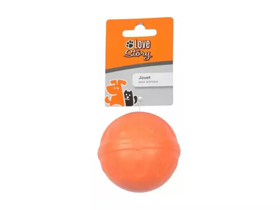 Jouet pour Chien 
