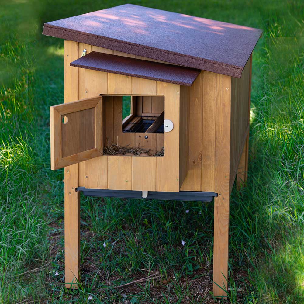 Ferplast poulailler maisonnette pour poules pondeuses hen house 30 d'extérieur, en bois fsc, pour environ 6 poules, accessoires