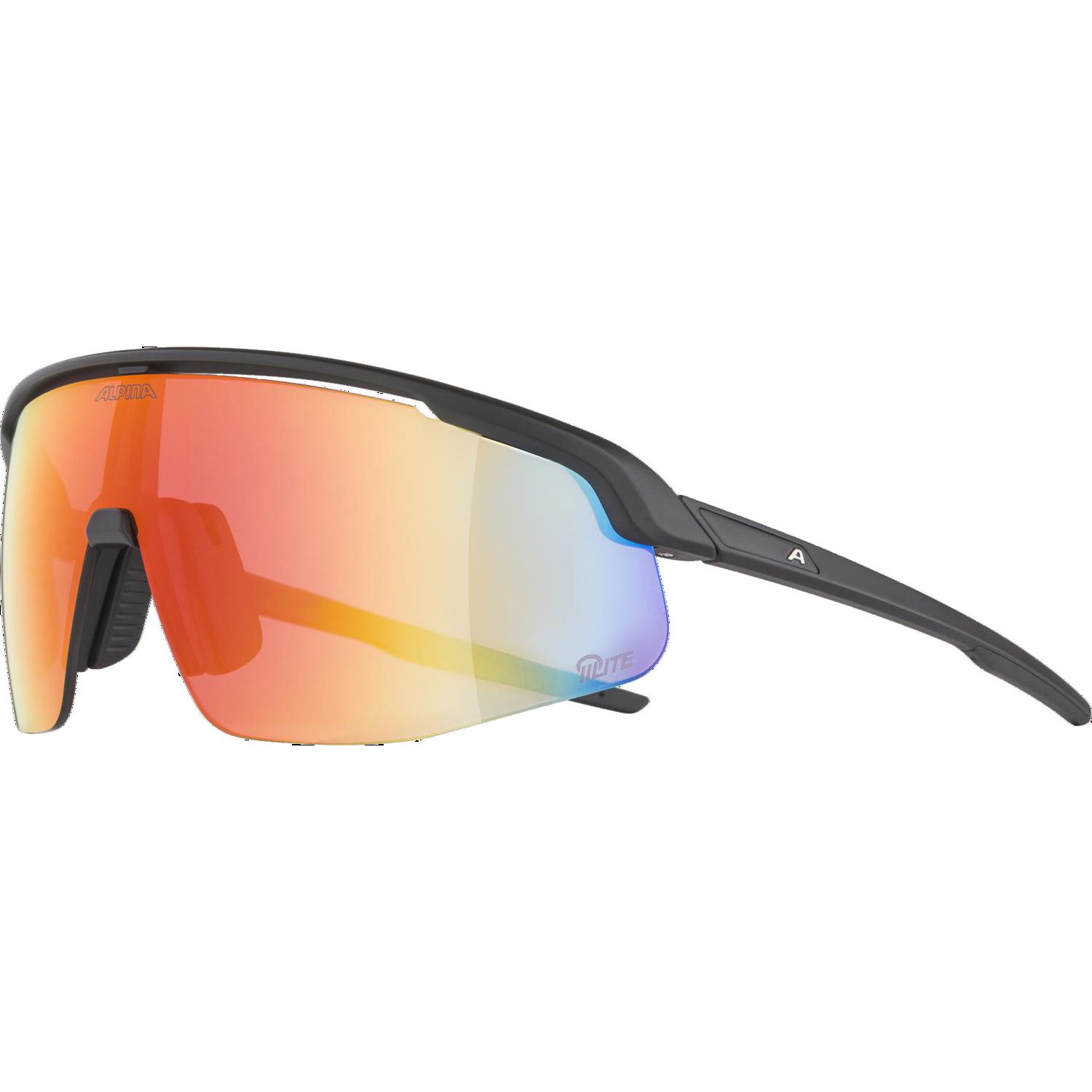 Alpina Turbo Pro Q-Lite Sportbrille black matt