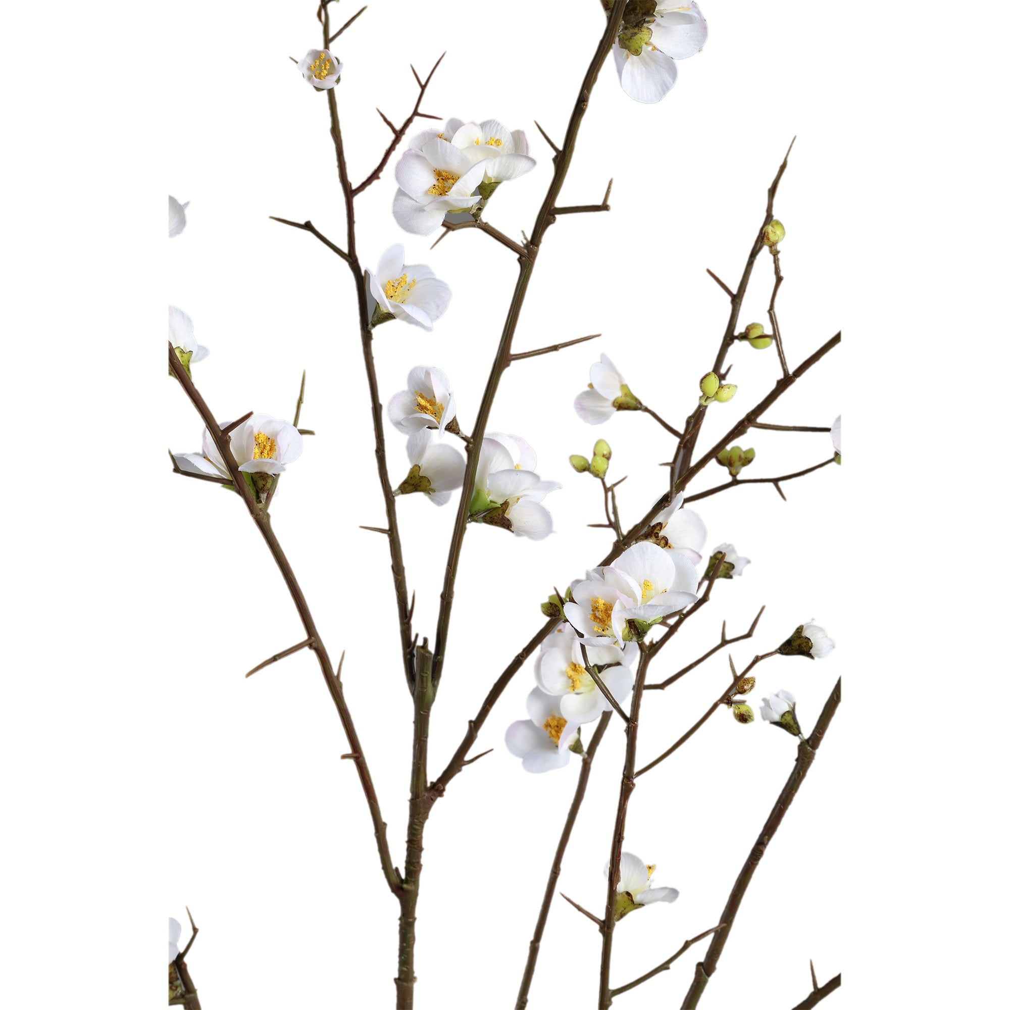 PTMD - Kunstbloem Blossom - Wit - 81.5x79x137cm
