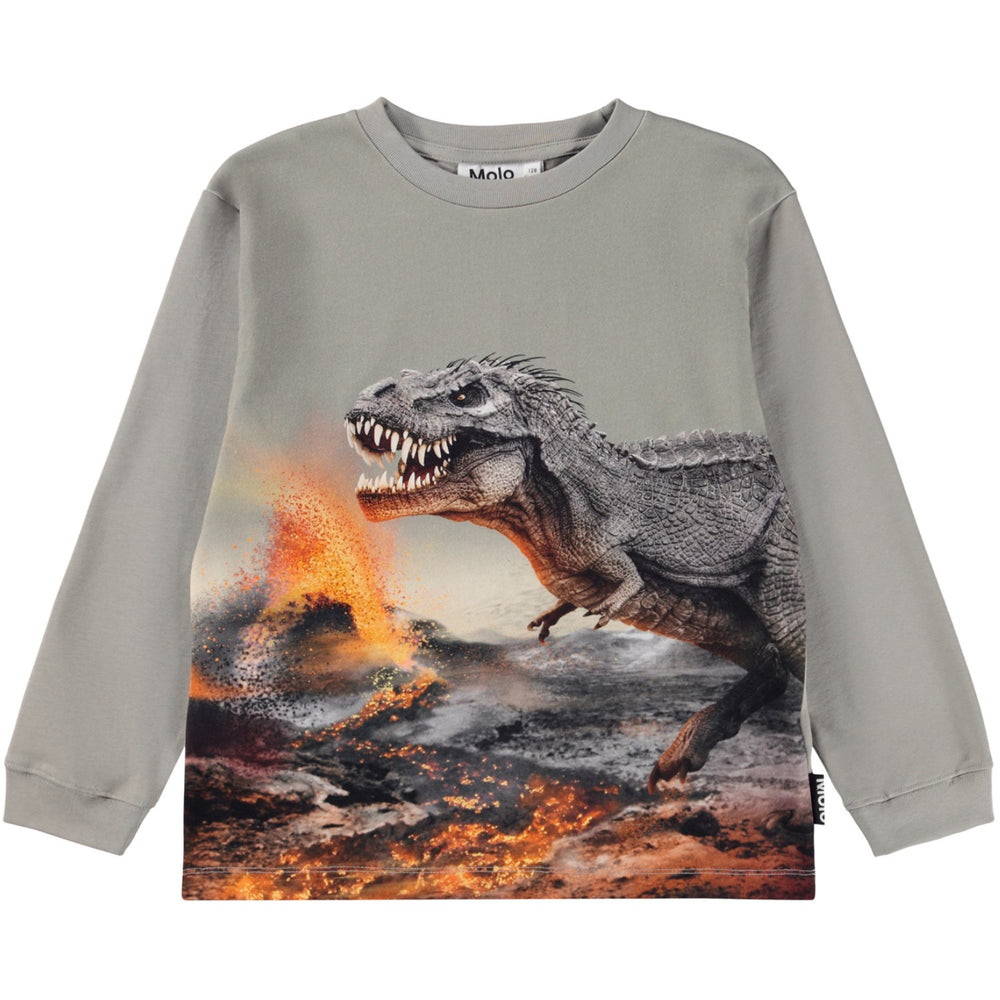 Køb Molo Dinosaur Fog Rube Bluse