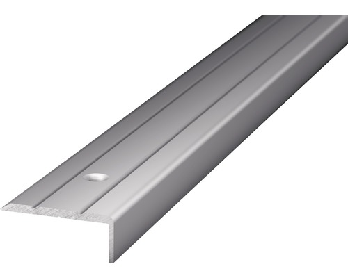 Aluminium hoekprofiel, zilver, geperforeerd, 24,5 x 10 x 1000 mm
