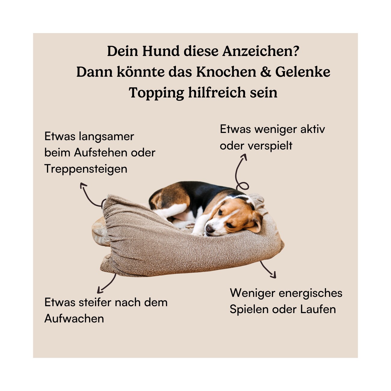 Hunderunde Futtertopping - Knochen & Gelenke - Beweglichkeit, Gelenkgesundheit, starke Knochen, natürliche Zutaten 250 g