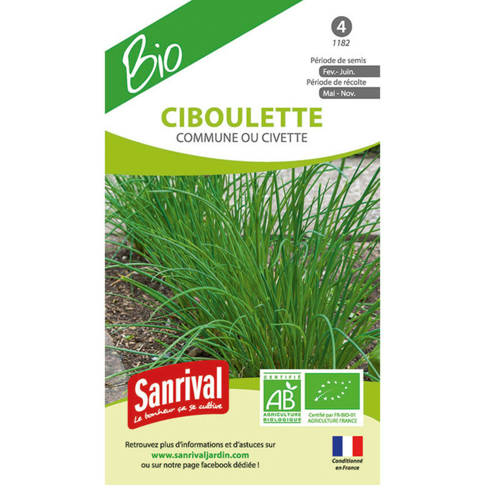 Graines ciboulette commune ab bio