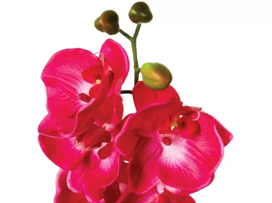 Fleur Artificielle Orchidée 108cm Rose