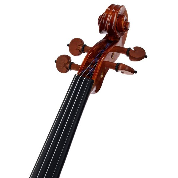 Conrad Götz Heritage Cantonate 123 Violin