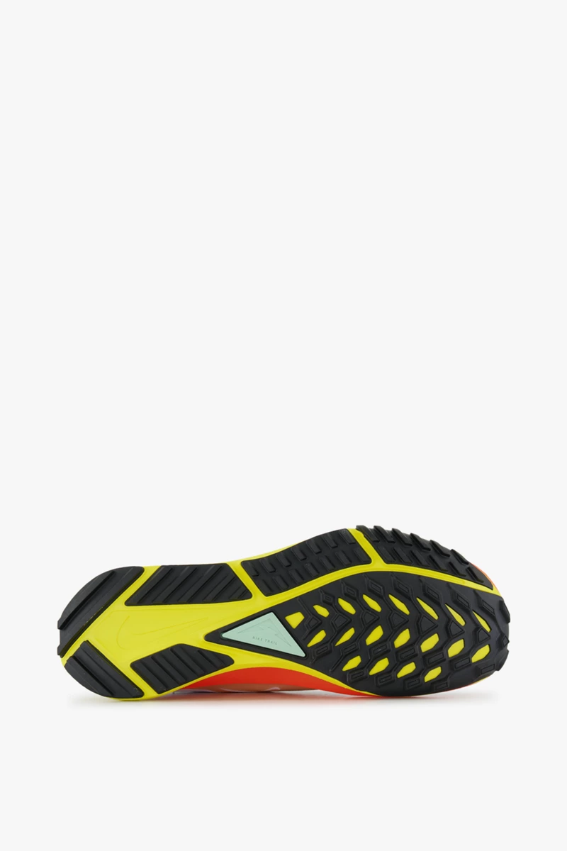 Nike Pegasus Trail 4 Gore-Tex® Herren Trailrunningschuh