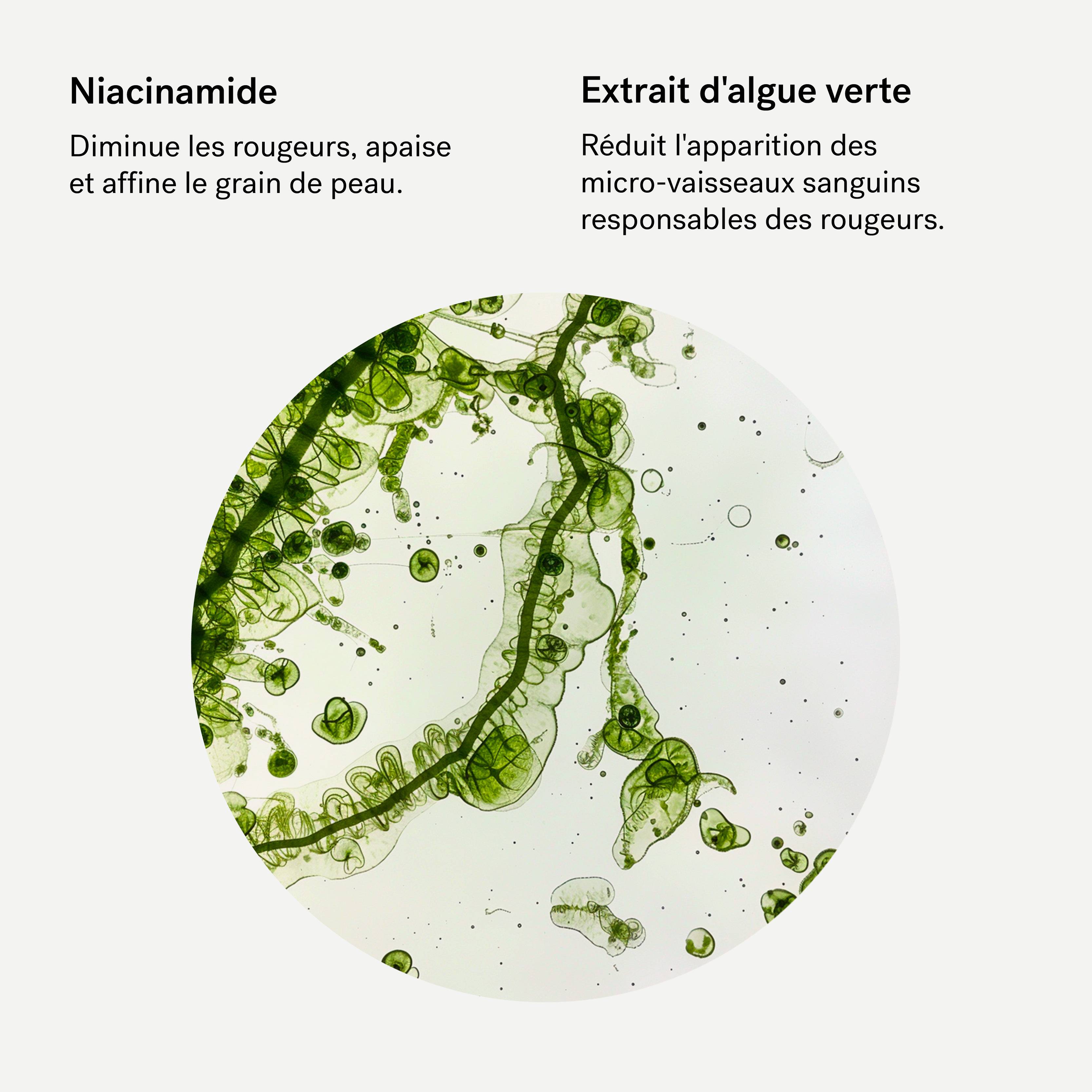 T33 - Correcteur anti-rougeurs<br>Niacinamide 2% + Extrait d’algue verte