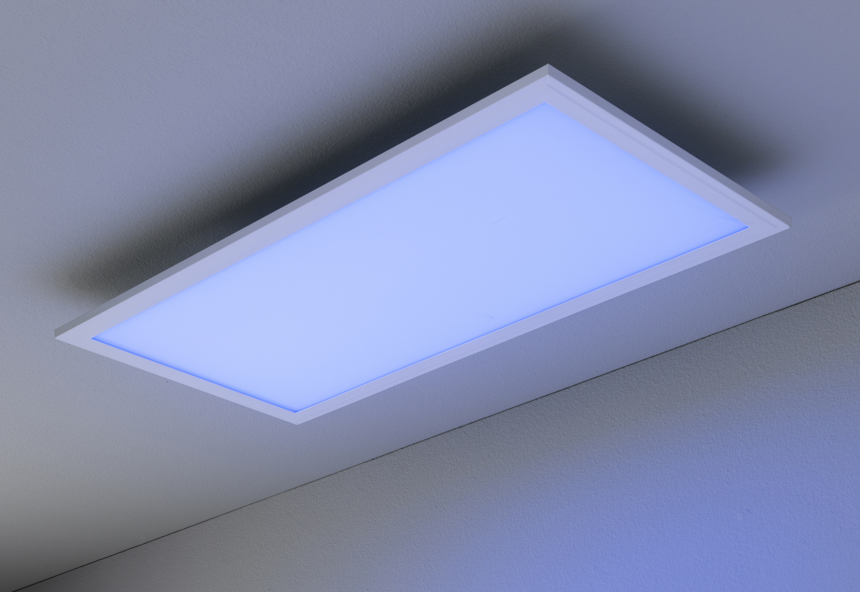 Panel JALDY