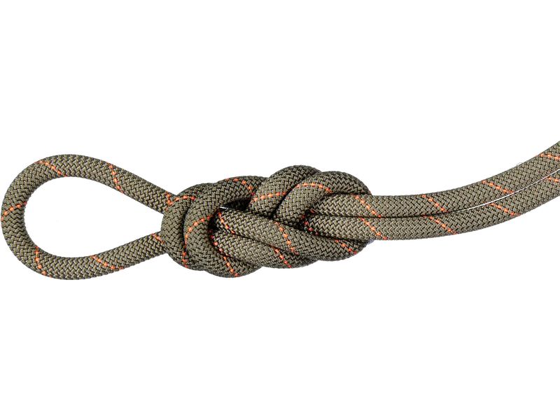 MAMMUT Kletterseil 9.9 Gym Workhorse Classic Rope 40 m Kletterseil für Hallen