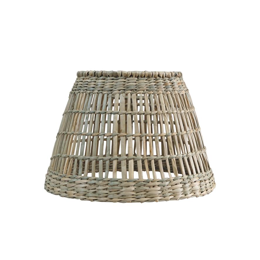ABJ CONICA S SEAGRASS