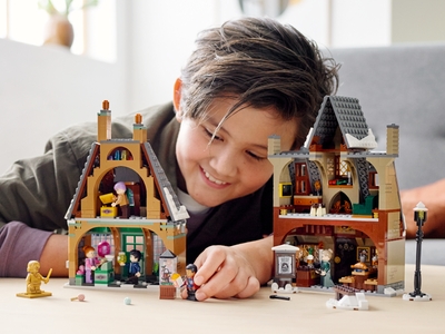 LEGO Zweinsveld™ Dorpsbezoek (76388)