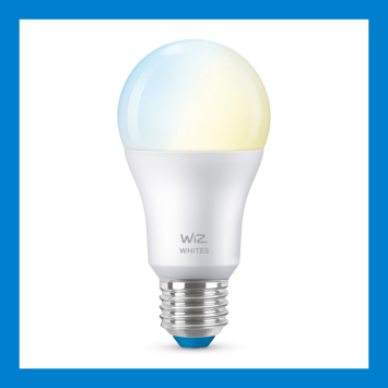 WiZ Connected LED peer E27 60W mat koel tot warmwit licht dimbaar