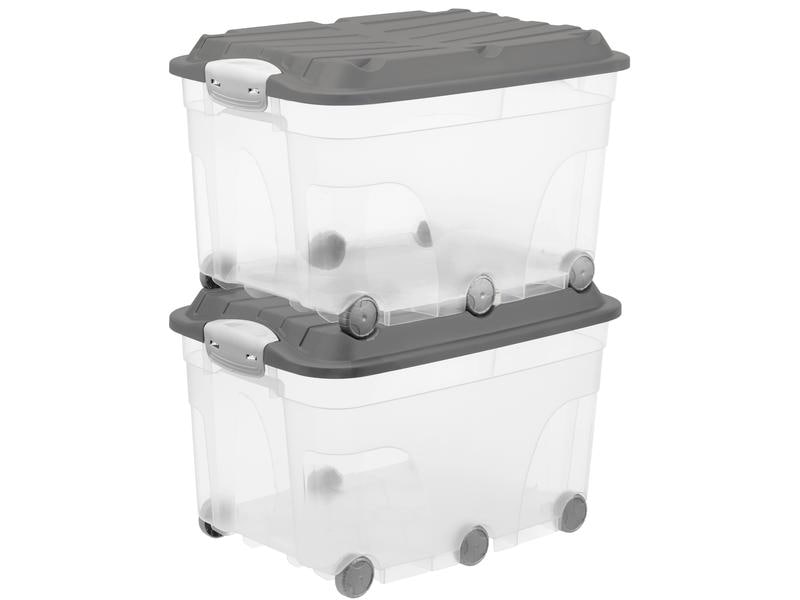 Rotho Aufbewahrungsbox 2 Stück, Anthrazit/Transparent Aufbewahrungsbox mit Rollen