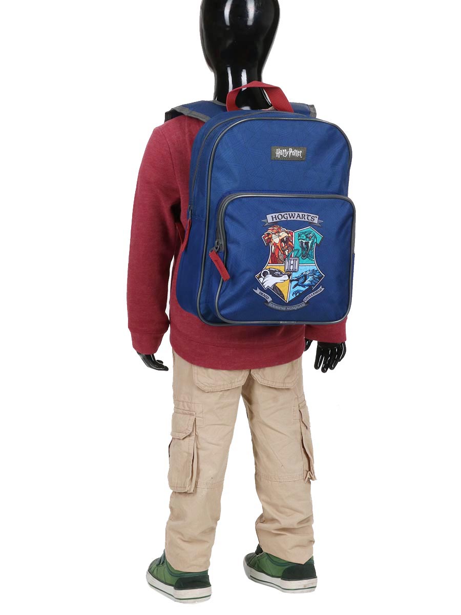 Sac À dos Harry Potter Hogwarts Dome