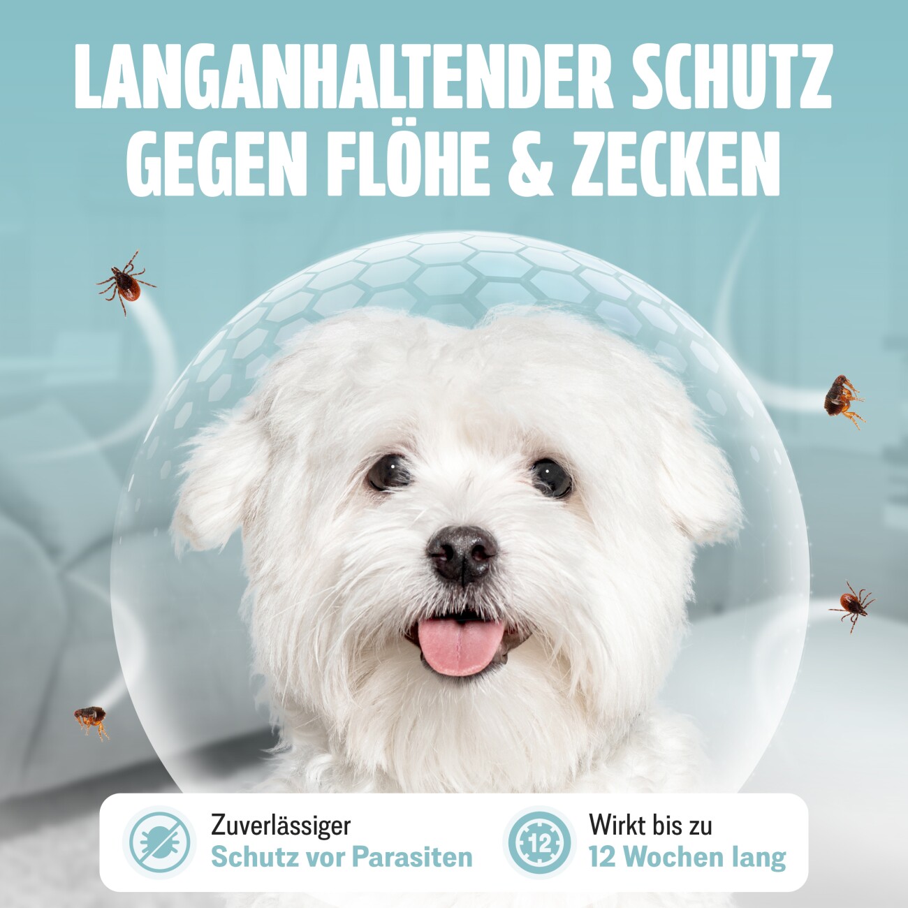 Futum Spot On (6x1,2ml) für Hunde 7 ml
