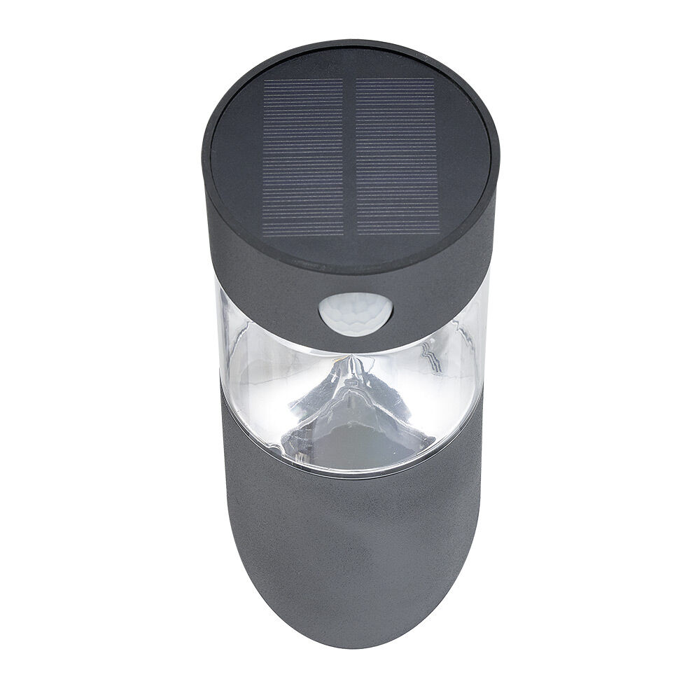 Applique murale solaire LED inox détecteur de mouvement H23,2cm