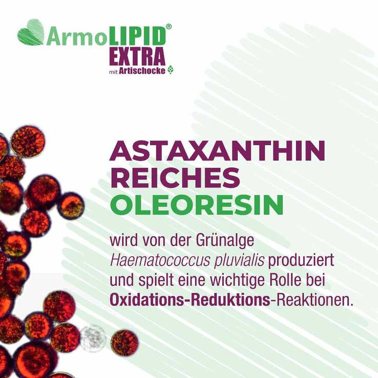 Armolipid Extra Tabletten mit Artischocke, 60 St