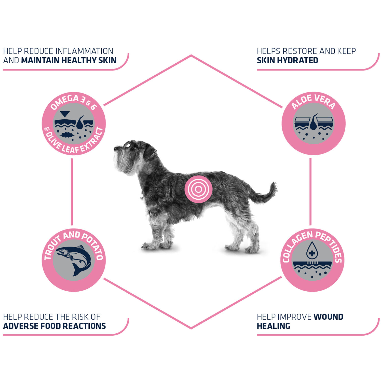 Affinity Advance Veterinary Diets Atopic Mini Hond
