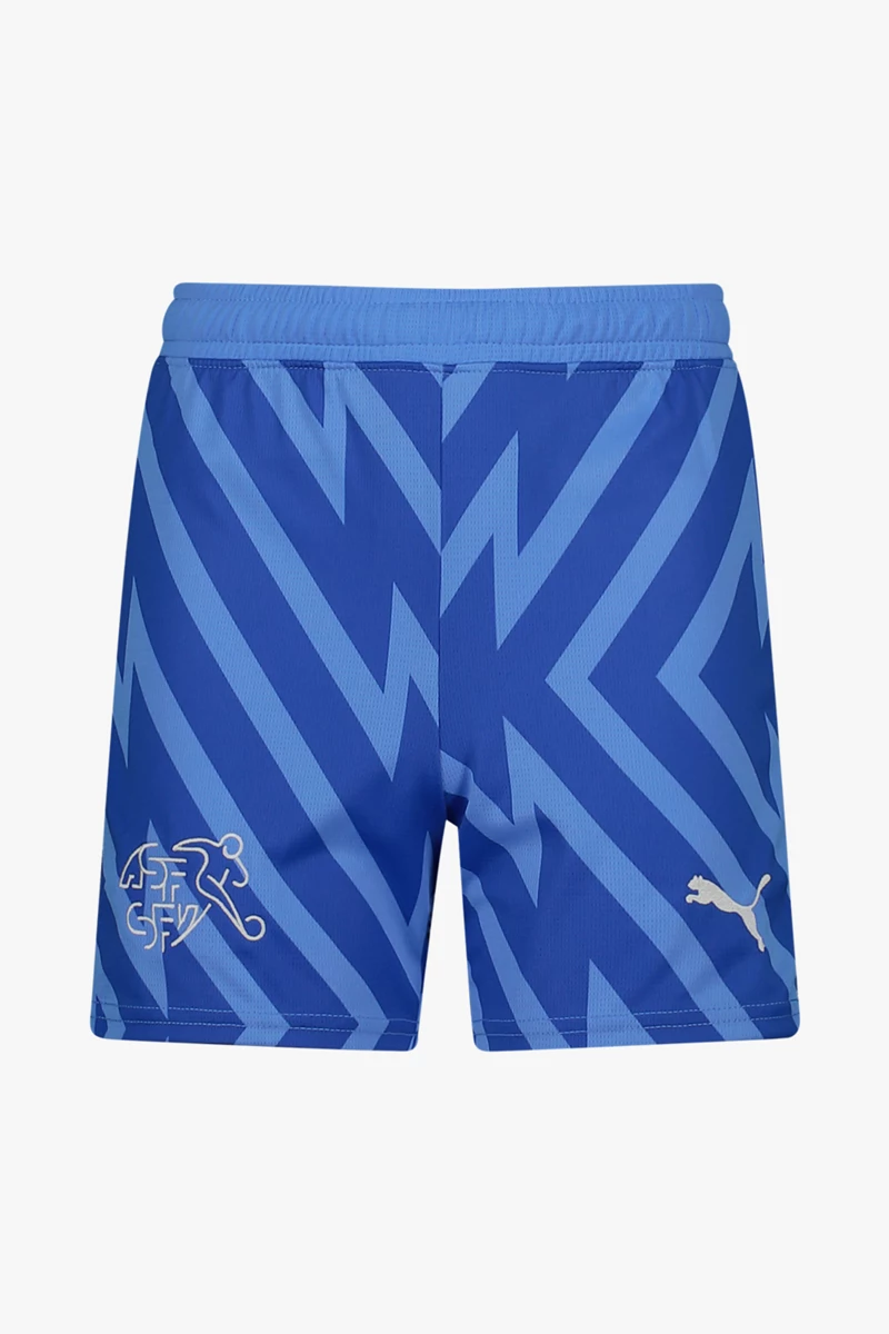 Puma Schweiz Replica Kinder Torwarthose EM 2024