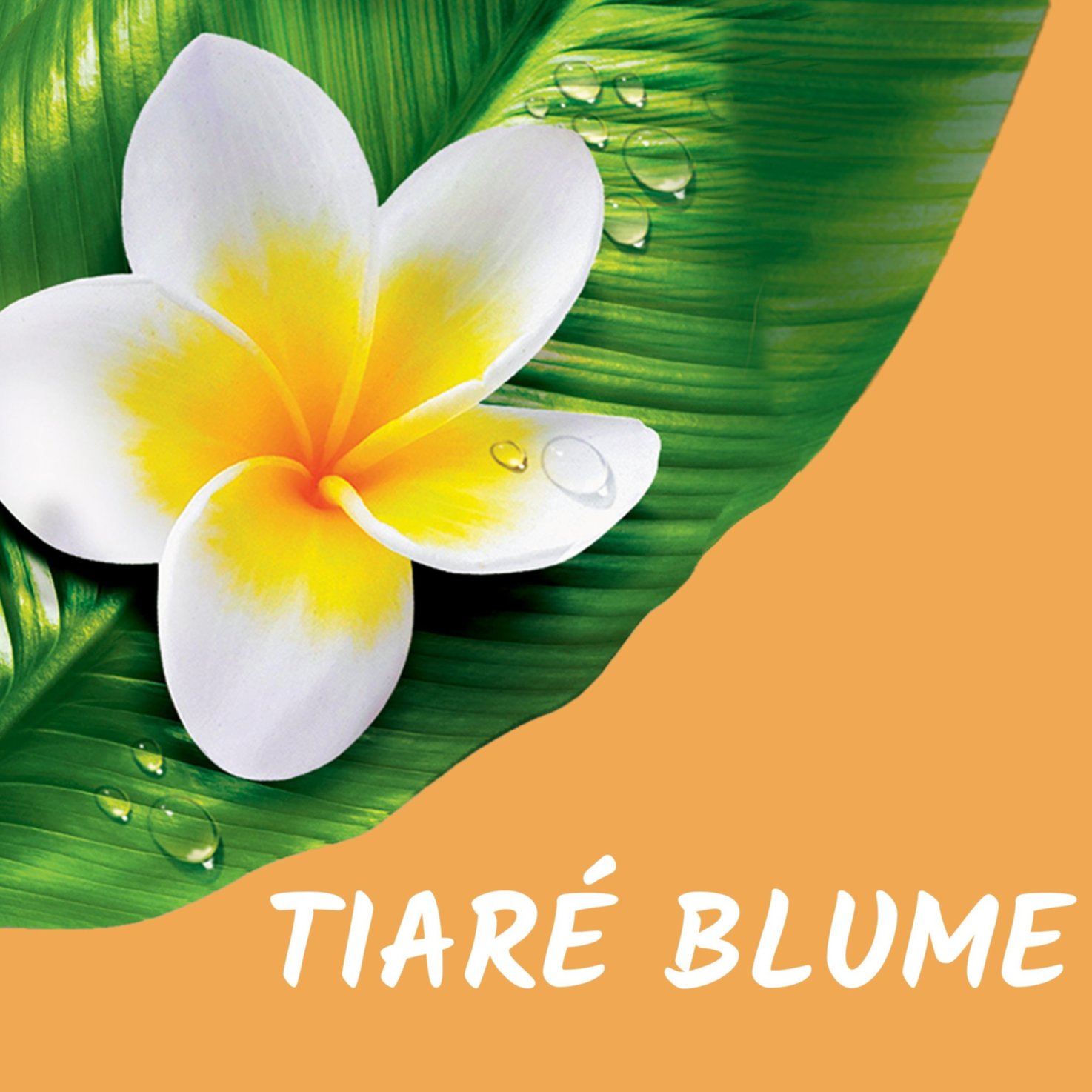 Tahiti Duschgel Tiaré