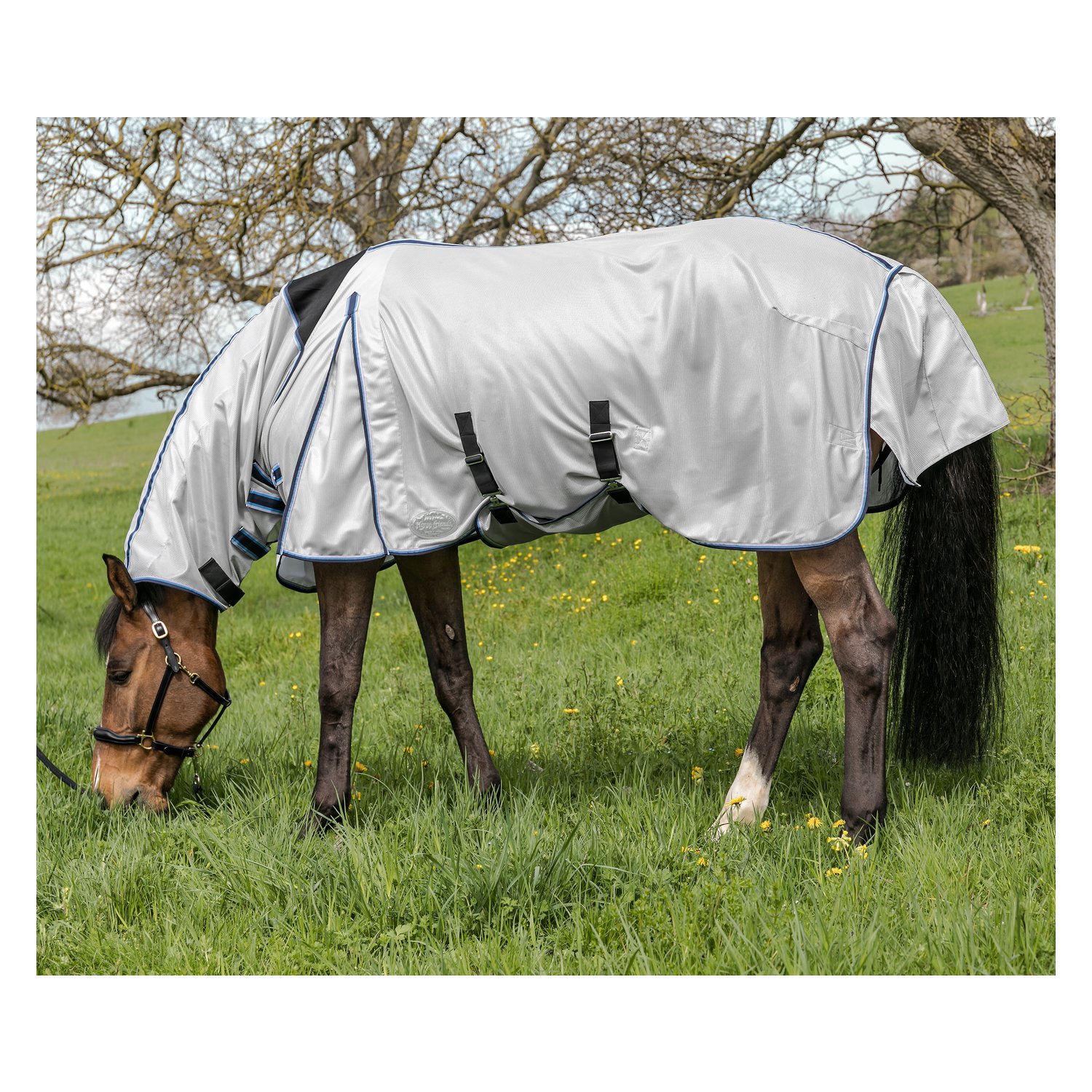 Horse-friends Fliegendecke mit elastischem Einsatz  - silber/blau