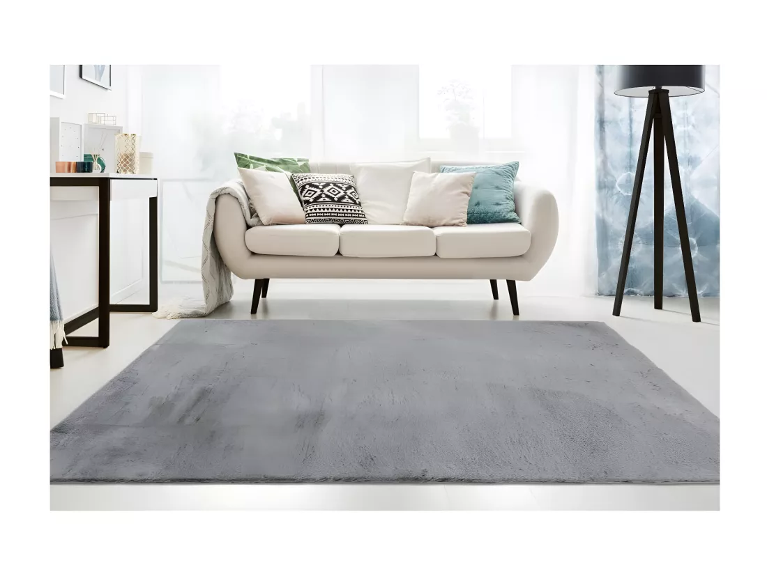 Tapis 230x160cm, design E005N coloris gris - Confort et élégance pour votre intérieur