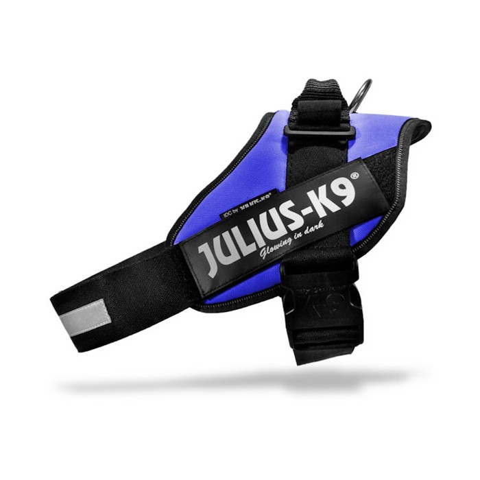 Harnais IDC Power Bleu
