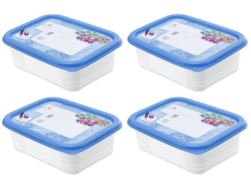 Rotho Vorratsbehälter Domino Dekor 4 Stück, 0.5 l, Transpar Gefrierdosen Set