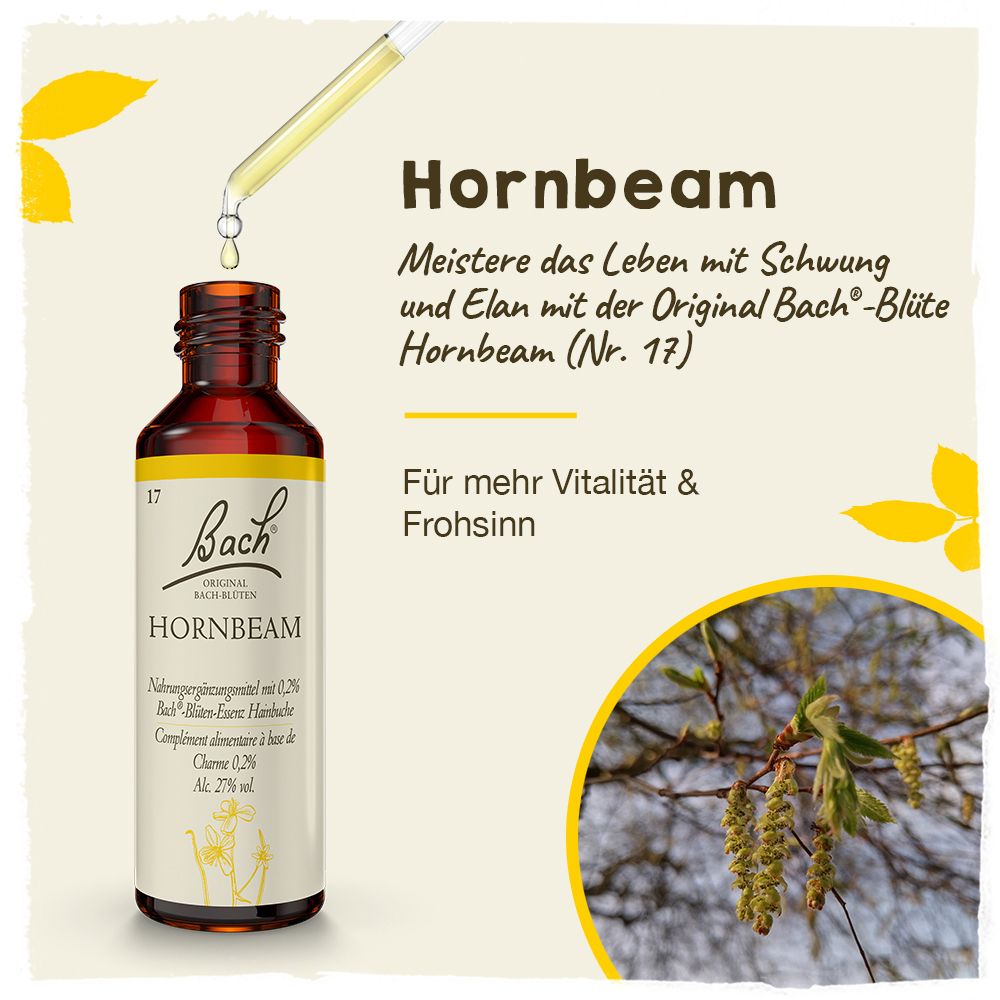 BACH®-BLÜTEN Frühlingserwachen Set