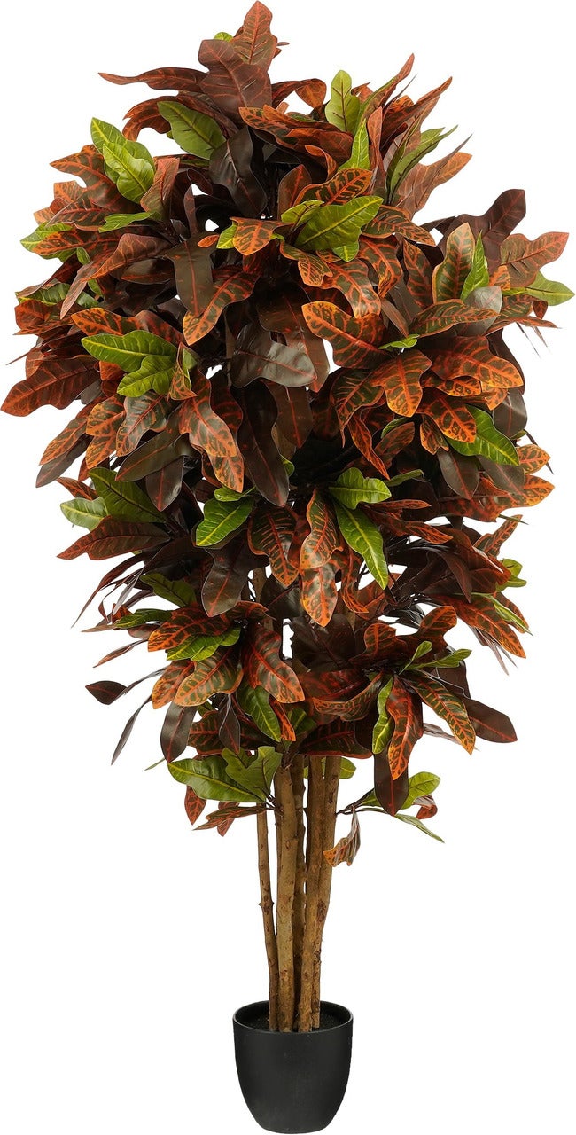 Mica Decorations kunstplant Croton D 70 H 150 cm