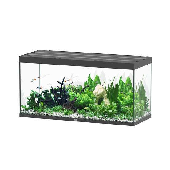 Aquarium Sublime Led 2.0 Pro Noir L.150x P.60x H.75cm