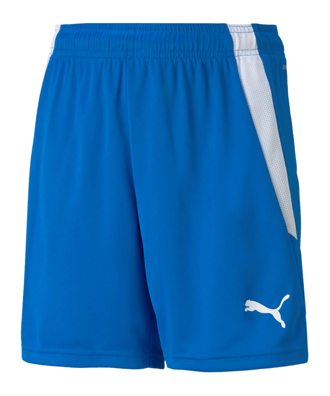 PUMA teamLIGA Shorts Kids Blau F02