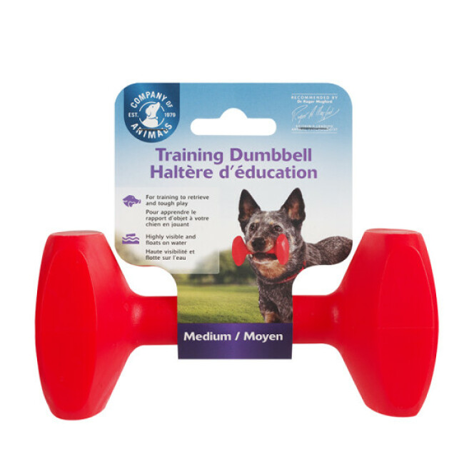 Apportable Clix flottant en plastique pour chien