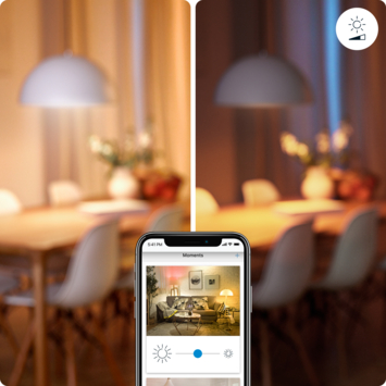 WiZ Connected LED giant globe E27 25W filament gold koel tot warmwit licht dimbaar