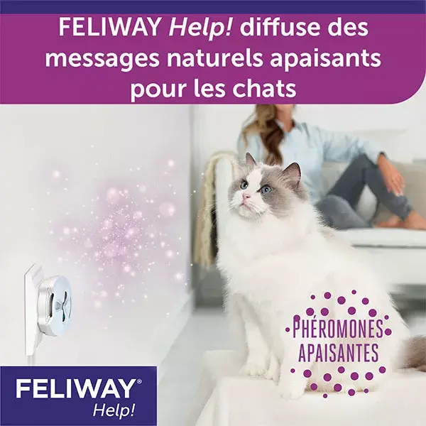 Feliway Help! Kit Completo - Antiestresse para uso ocasional (7 dias)