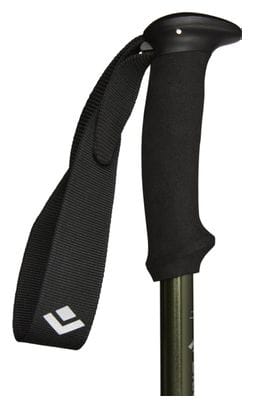 Bâtons de Randonnée Black Diamond Explorer 3 Vert