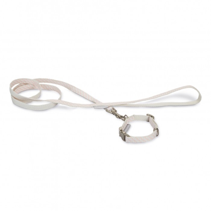 Collier et laisse Welcome