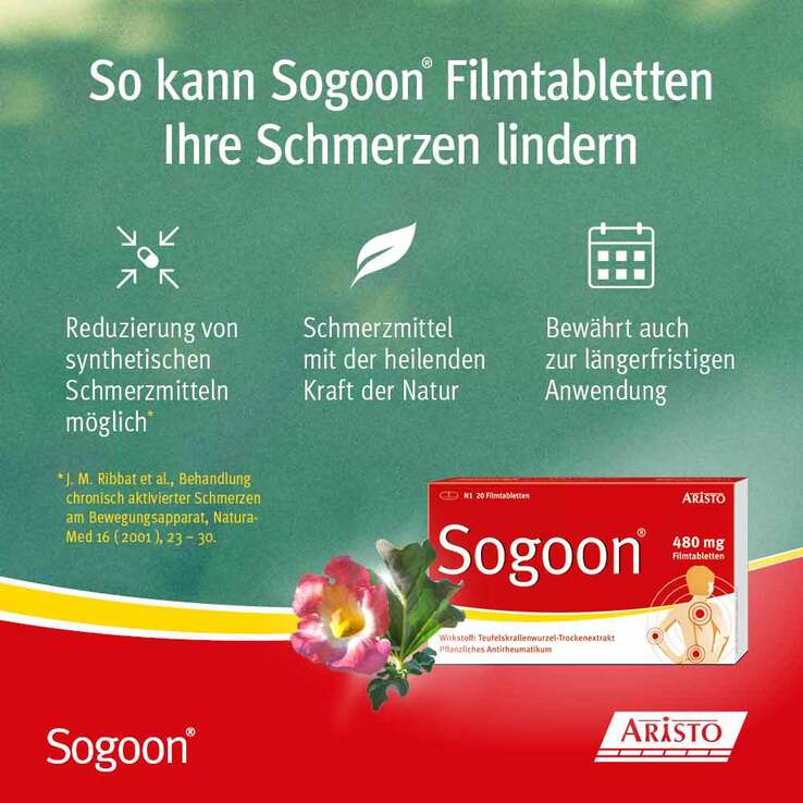 Sogoon Teufelskralle 480 mg Filmtabletten , 100 St