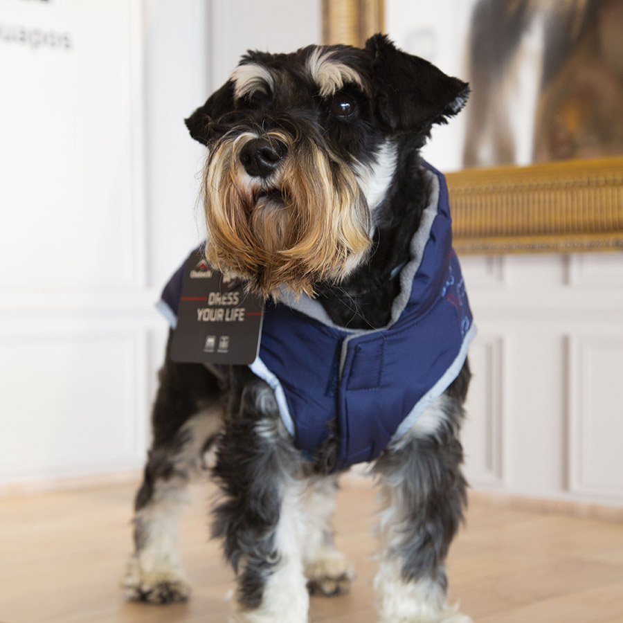 Casaco azul Outech com estampa de ossos para cães